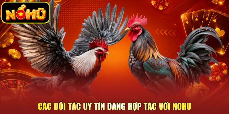 Các đối tác uy tín đang hợp tác với Nohu