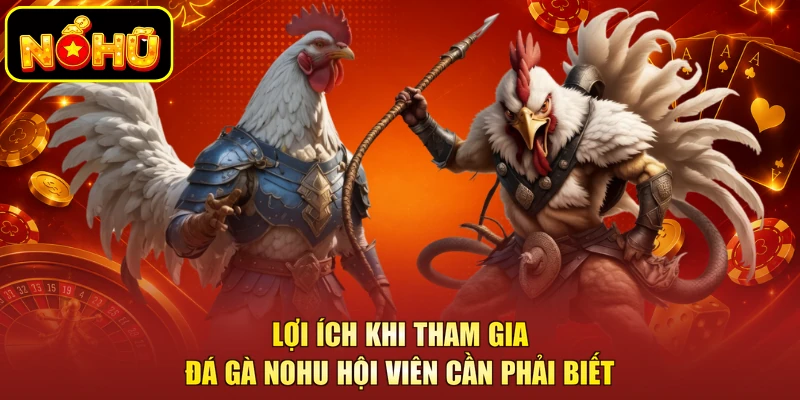 Sức hút khó cưỡng đến từ sảnh đá gà NOHU