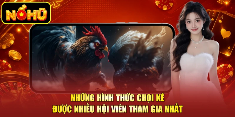 Hình thức đá gà NOHU bùng nổ nhất 2026